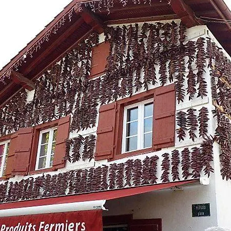 Ecolo-vegan Ou Amateurs Au Pays Basque Appartamento