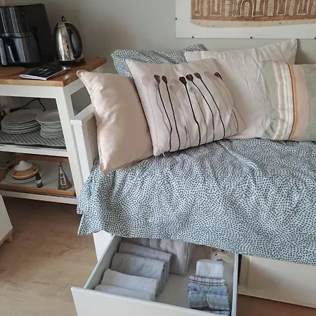 Ecolo-vegan Ou Amateurs Au Pays Basque Appartamento