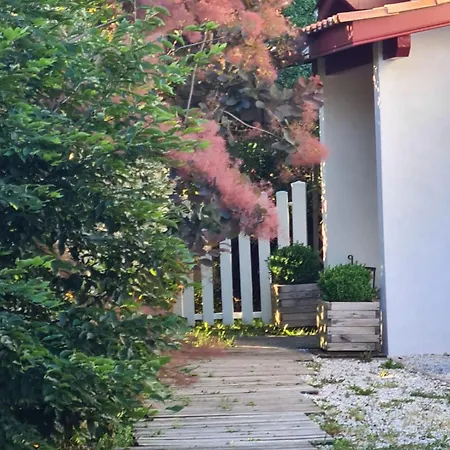Ecolo-vegan Ou Amateurs Au Pays Basque Appartamento *