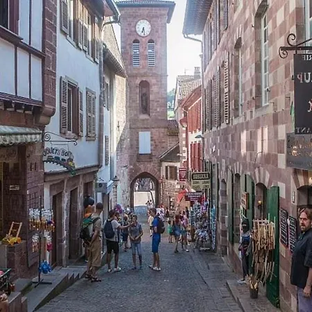 Ecolo-vegan Ou Amateurs Au Pays Basque * Saint-Martin-dʼArrossa