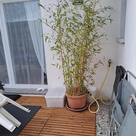 Ecolo-vegan Ou Amateurs Au Pays Basque Appartamento