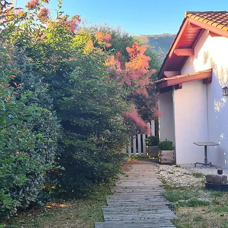 Ecolo-vegan Ou Amateurs Au Pays Basque