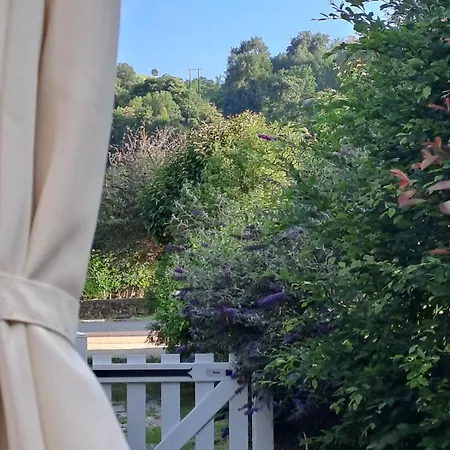 Ecolo-vegan Ou Amateurs Au Pays Basque